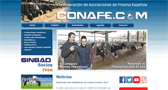 Desktop Screenshot of conafe.com