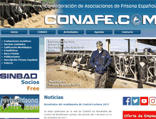 Tablet Screenshot of conafe.com